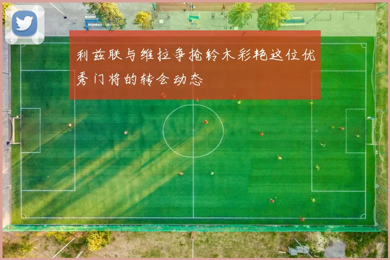利兹联与维拉争抢铃木彩艳这位优秀门将的转会动态